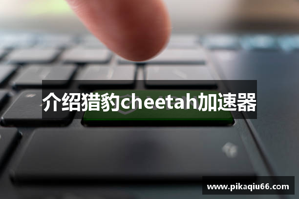 介绍猎豹cheetah加速器